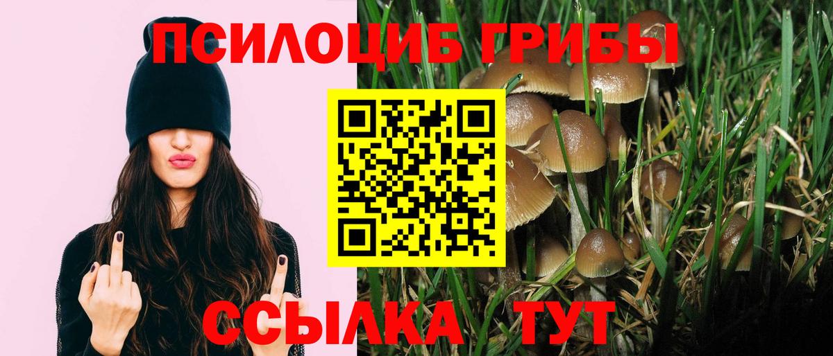 Сальск  Галлюциногенные грибы мухоморы  Псилоцибиновые грибы прущие грибы  Вход с VPN 