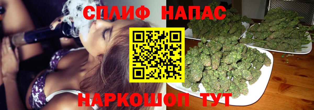 Канабис семена Сальск